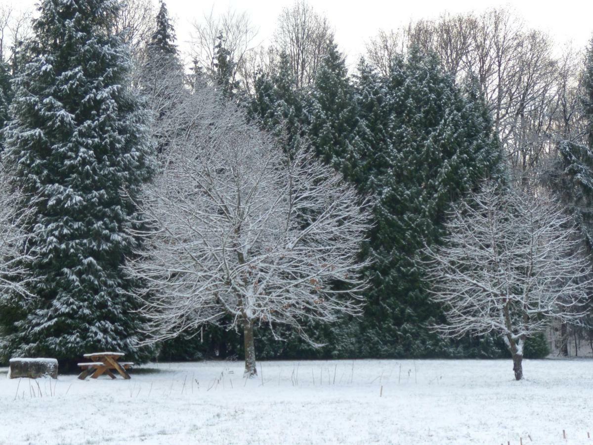 La Clairiere Du Verbamont Claudon Luaran gambar